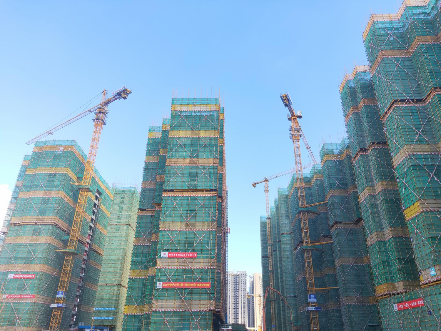 推女郎松果三点尽露视频