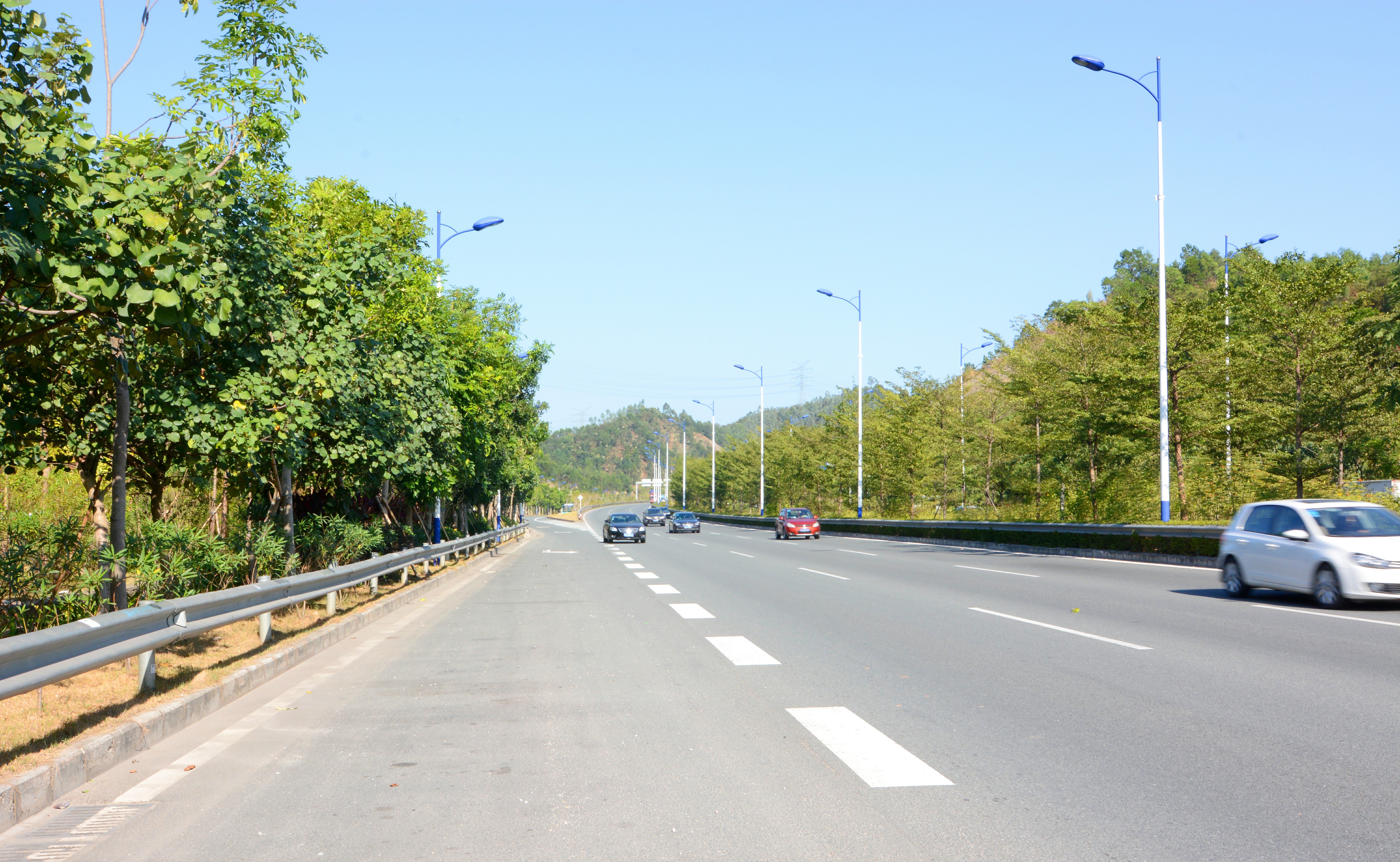 推女郎松果三点尽露视频