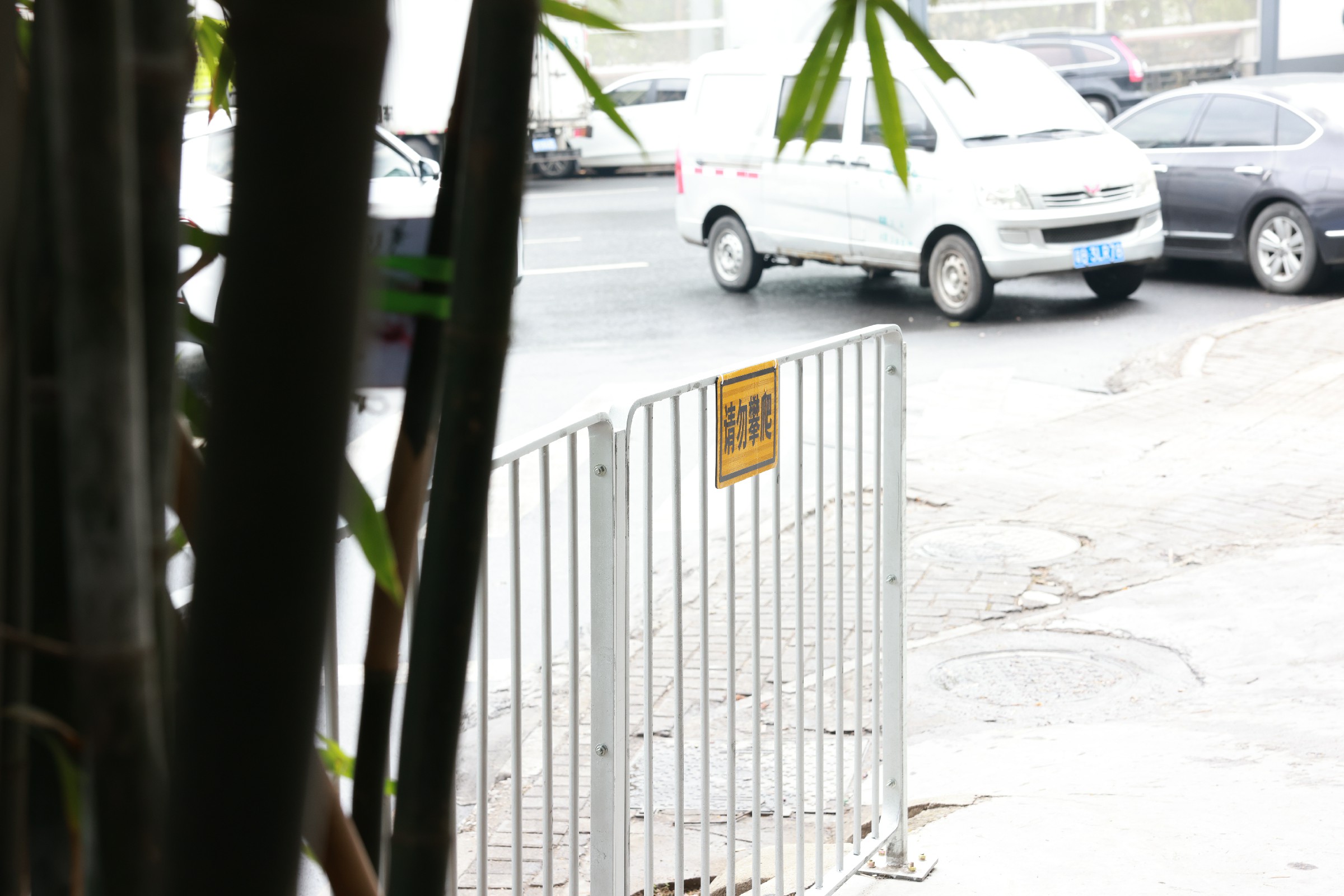 1G4A0546.jpg 1G4A0546.jpg